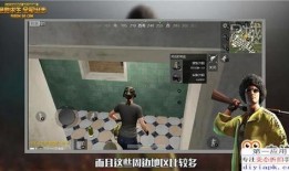 视频爆料规则最新版是什么,全面了解内容规范与责任