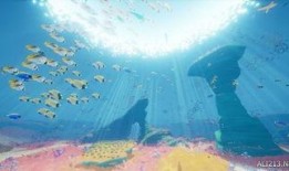 官方爆料的海底世界视频,官方揭秘震撼海底世界视频全纪录